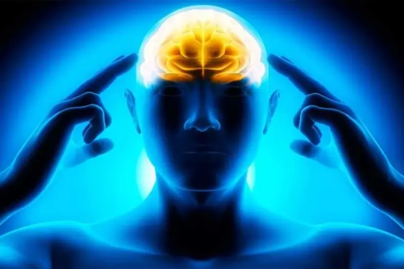 İnsan beyninin dört kritik dönüm yaşı