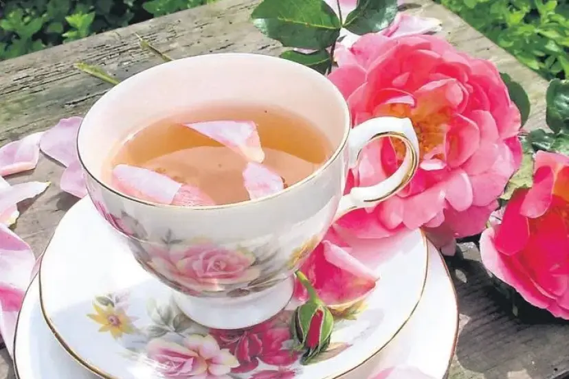 Şifalı kış çayları