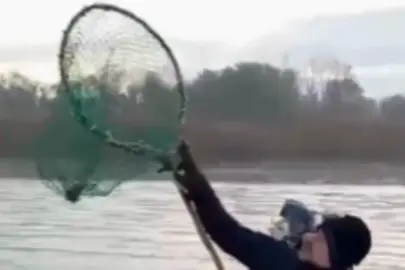 Elektrikli şok cihazıyla denizlerde toplu katliam! Bakanlık kaçak avcılara gerekenin yapıldığını açıkladı