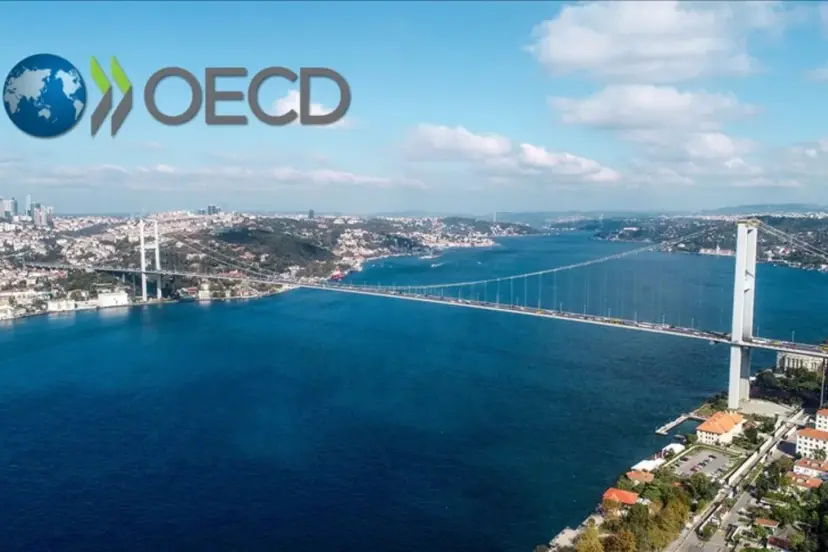 Türkiye, OECD'nin en hızlı büyüyen 4'üncü ekonomisi