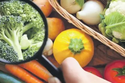 2026 reform yılı olacak