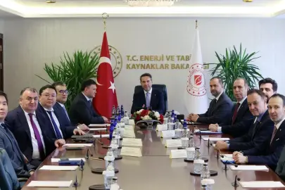 Bakan Bayraktar, Kazakistan ile enerjide işbirliği imkanlarını görüştü