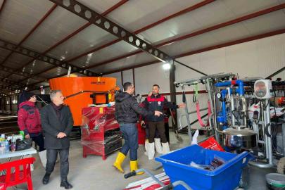 585 başlık küçükbaş işletmesi, yüzde 50 hibeyle faaliyete geçti