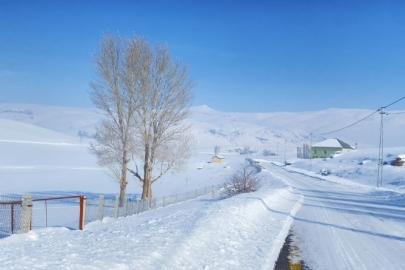 Ağrı kara teslim oldu
