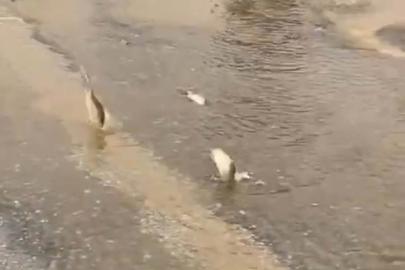 Bodrum'da sağanak; yollar trafiğe kapandı, iş yerlerini su bastı (3)