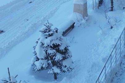 Erciş’te kar yağışı