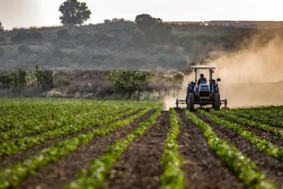 Son dönem yağışları can suyu oldu, tarımsal risk beklenmiyor