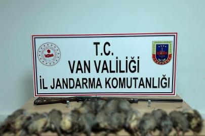 Van’da keklik avına 87 bin TL idari para cezası