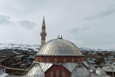 "Baharın habercisi" leylekler Muş Ovası’na gelmeye başladı