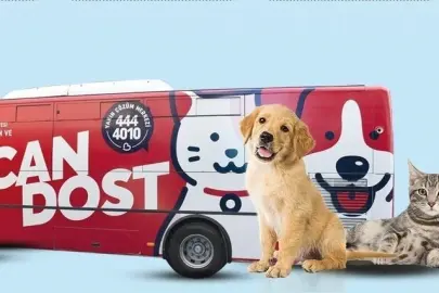 Balıkesir’de patili canlara mobil sağlık hizmeti