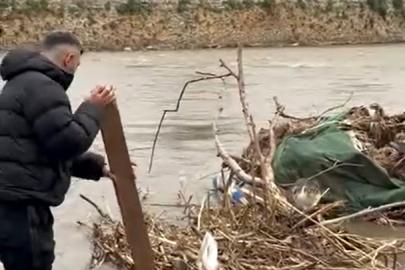 Çayda mahsur kalan kediyi vatandaş kurtardı