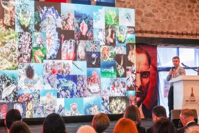 İzmir Körfezi'ne bilimsel bakış