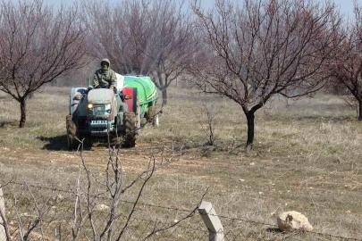 Kayısıda kritik bakım dönemi başladı