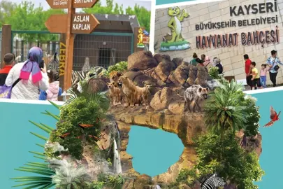 Kayseri'de hayvanat bahçesi ücretsiz