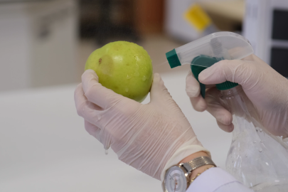 Meyvelerin raf ömrü doğal yağlarla uzatılıyor