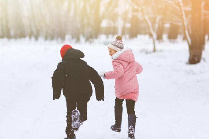 Ordu'nun bazı ilçelerinde kar yağışı nedeniyle eğitime 1 gün ara verildi