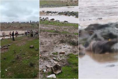 Şanlıurfa'da derede erkek cesedi bulundu
