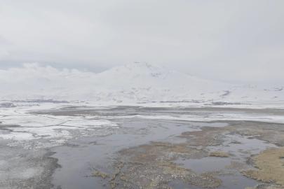 Sarısu sazlıkları ile Süphan Dağı’nın karlı zirvesi göz kamaştırıyor