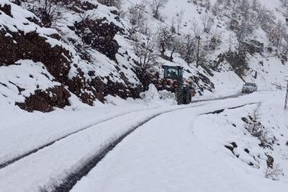 Şırnak'ta karla kapanan köy yolları temizleniyor