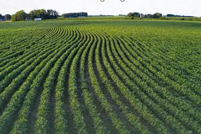 Tarım arazilerinin etkin kullanımı için hibe desteği