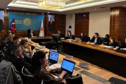 Ticaret Bakanlığı ile Avrupa Komisyonu arasında 'eticaret' ve 'SKDM' toplantısı