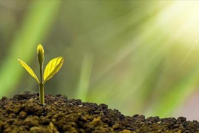 Türkiye'nin küresel çevre hareketi: Sıfır Atık Projesi