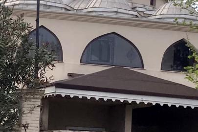 Yaban hayatı gözlemcisinden leyleğin bozulan yuvası için çağrı