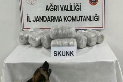 Ağrı’da 10 kilogram skunk ele geçirildi, 1 şüpheli tutuklandı