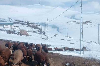 Ağrı’da Nisan ayında kar yağışı yolları kapattı