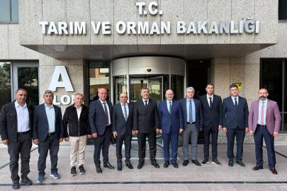 Anason üretimindeki sorunlar Ankara’da görüşüldü
