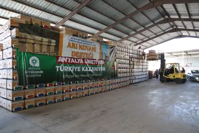 Antalya Büyükşehir’den arıcılara kovan desteği