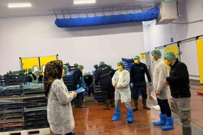 Bingöl’de balık işleme tesisleri denetlendi