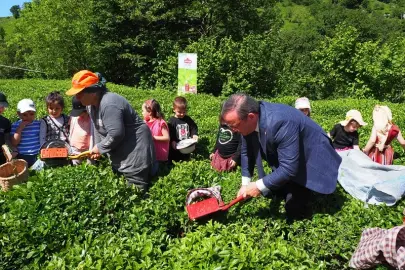 Çay İşletmeleri'ne personel atamalarında 40 yaş şartı aranmayacak