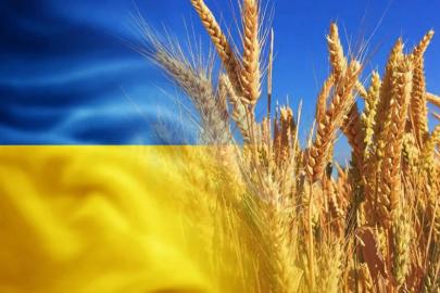 Çernobil’in yasaklı bölgesinde tarım skandalı