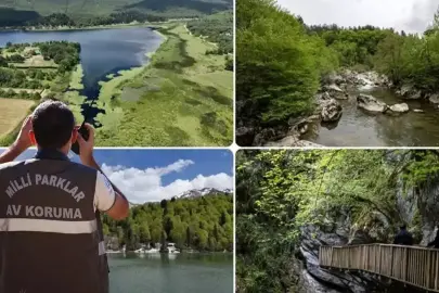 Doğa Koruma ve Milli Parklar Uzmanlığı için 'tez' zorunluluğu