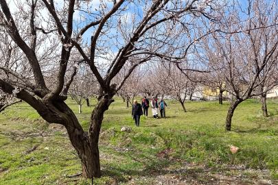 Dolunun vurduğu Malatya'da 20 bin dekardan fazla alanda hasar tespit edildi