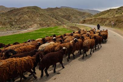 Hayvancılıkta yeni merkez: 784 milyonluk dev yatırım
