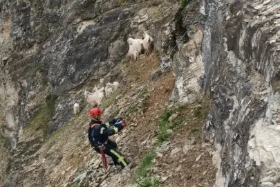 Her can Kocaeli İtfaiyesi’ne emanet