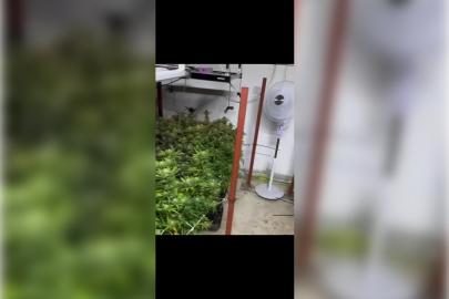 İzmir'de uyuşturucu operasyonu: 2 tutuklama