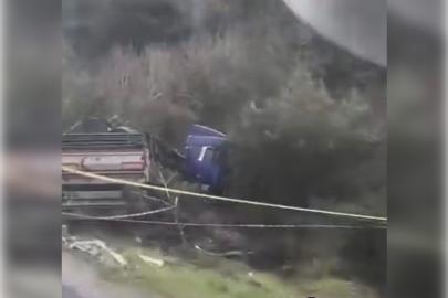 Kamyonet şarampole devrildi