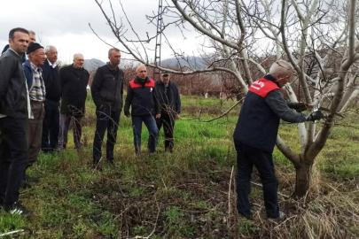 Malatya'da çiftçilere uygulamalı budama eğitimi verildi