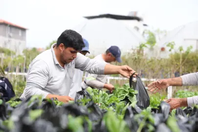 Muğla Dalaman’da üreticilere fide desteği sağlandı