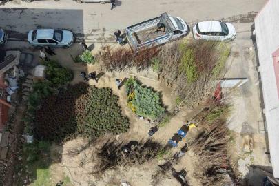 Muş’ta meyve fidanları satışa çıkarıldı
