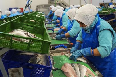 Su ürünlerinde ilk çeyrekte 552 milyon dolarlık ihracat