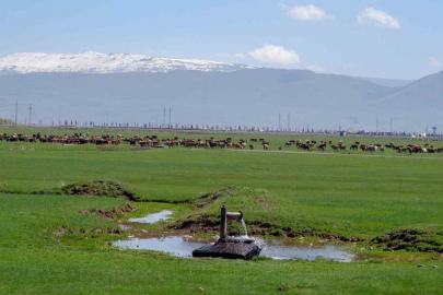 Tarımda önder üretici modeli vurgusu