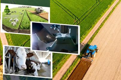 Tarımsal destekleme ödemeleri çiftçilerin hesaplarına aktarılıyor