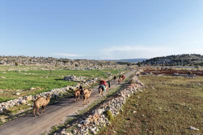 Toroslar'da kadim yolculuk: Sarıkeçililerin Yayla Göçü başladı