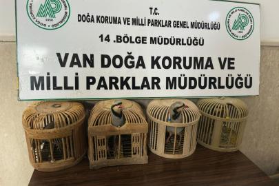 Van'da kafes avcılığı yapan kişiye 86 bin lira ceza kesildi