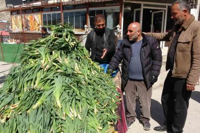 Van’da şifa kaynağı ‘çiriş otu’ tezgahlardaki yerini aldı
