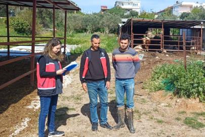Yetiştiriciler buzağı ölümlerine karşı bilgilendirildi